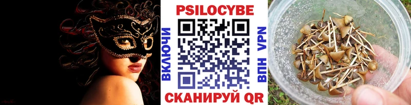 Псилоцибиновые грибы GOLDEN TEACHER  Пыталово 